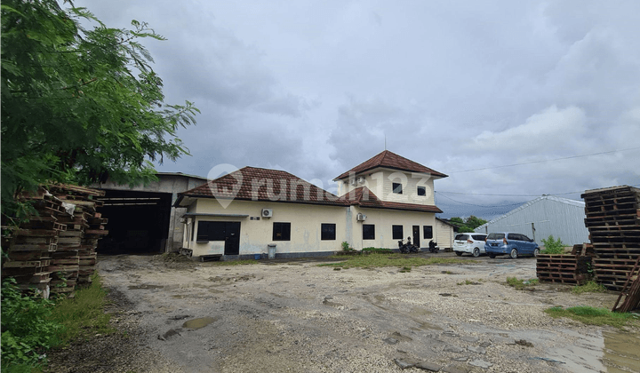 Giant Warehouse Ready for Battle in North Denpasar - Nearly 2,000 m², Truck Access, Suitable for National Scale