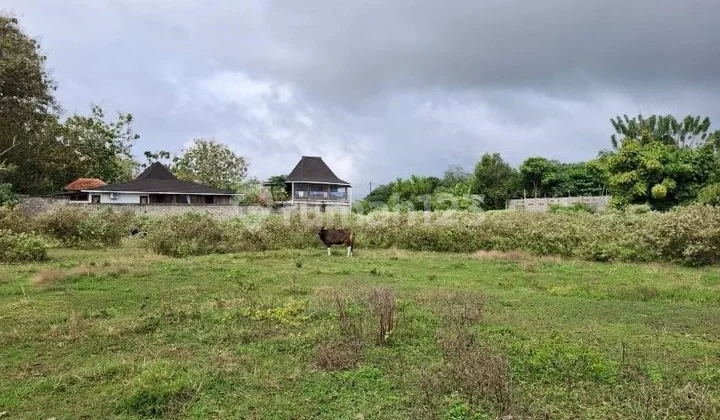 5 Kavling Premium di Kutuh - View Masa Depan Villa Anda Dimulai di Sini!
