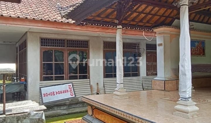 Tanah 440M² di Dauh Peken - Panjang 97 Meter, Potensi Tersembunyi di Pusat Tabanan!