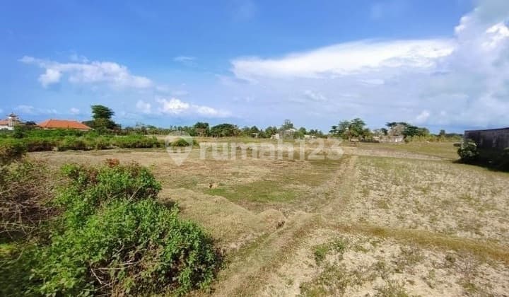 1.362M² di Koridor Emas Tulikup - 6 SHM, Siap Jadi Villa Eksklusif atau Cluster Premium!