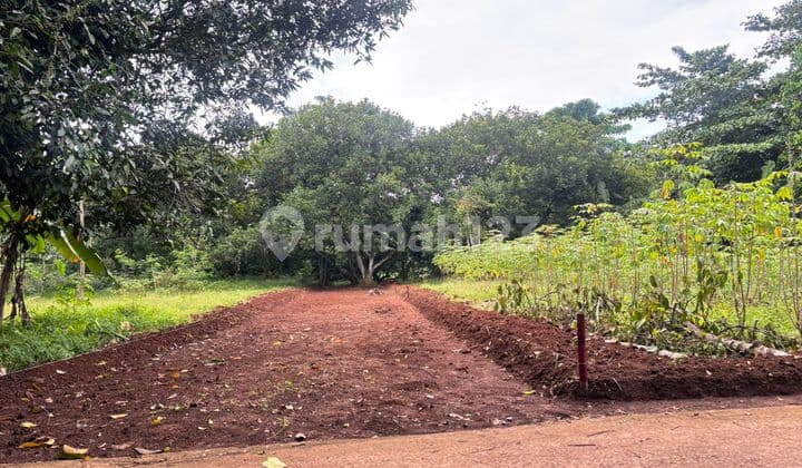 10 Menit Pinto Tol Burangkeng, Kavling Murah Cicil 12X Tanpa Bunga