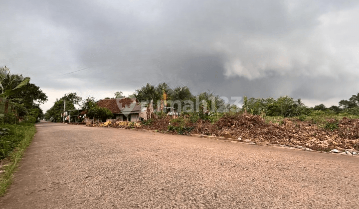 8 Minutes to Jatake Station, Cheap Plots by the Road 1 Million-ish/M2