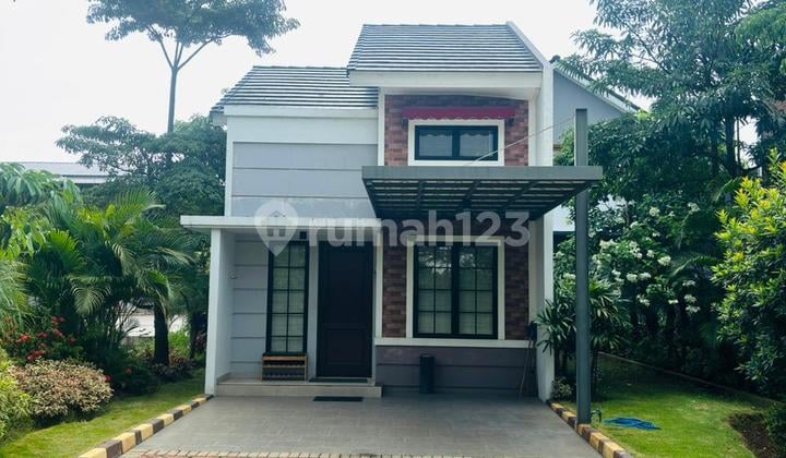 Rotterdam Kota Sutera