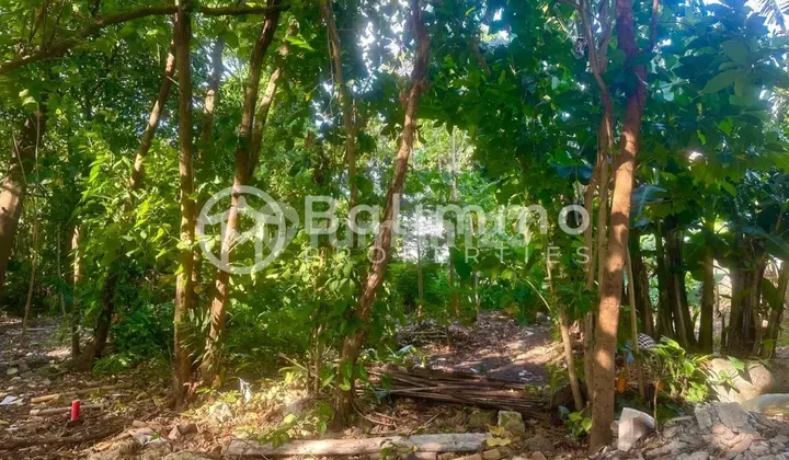 Padang Padang 2.8 Are Land