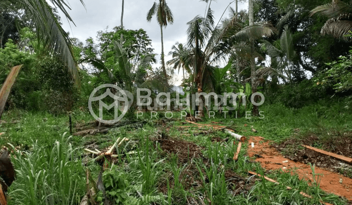 2 Are Freehold Land In Pecatu