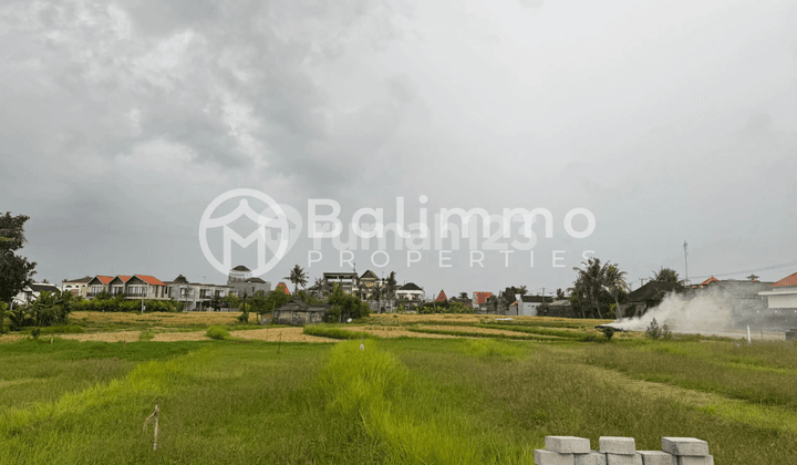 Tanah Dijual dengan Berbatasan dengan View Zona Hijau Rice Fields