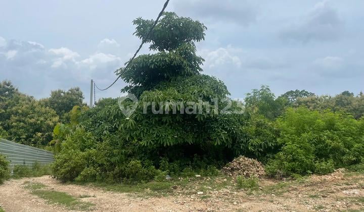 For Sale Fast Sea View Land in Balangan Bali For Sale Fast Sea View Land in Balangan Bali