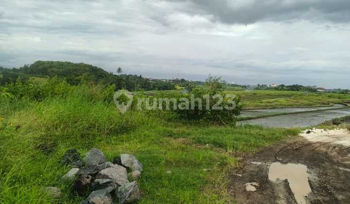 Tanah Freehold 45 Are Dijual Dekat Pantai Kelating, Tabanan - Bali