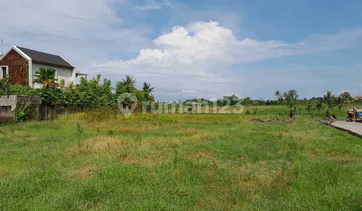 2 Are Land For Sale Freehold In Nyanyi, Tabanan - Pj020