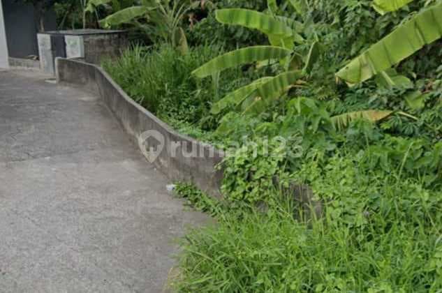Land Size 5.25 Are Freehold In Padonan, Canggu -Pj017