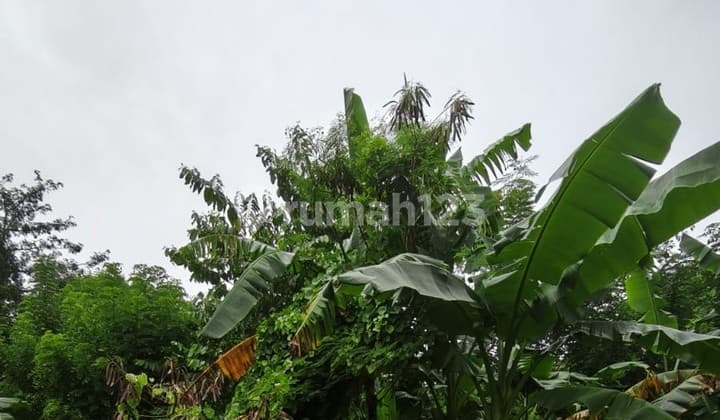 30 Are Land For Sale Leasehold In Toyaning, Ungasan - Bali - Dm004