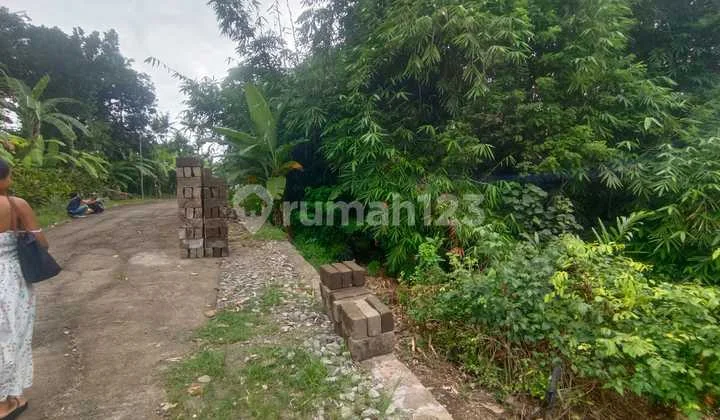 Land For Sale Freehold Near Pasut Beach Tabanan