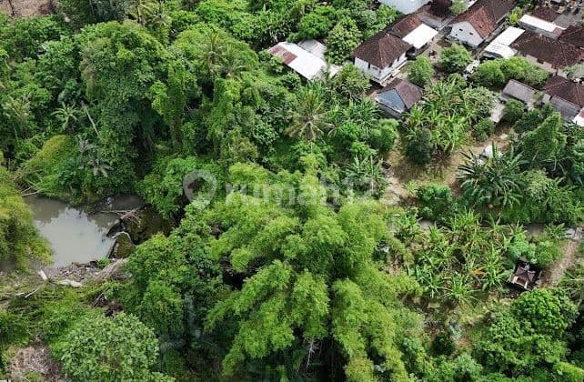 Tanah Sub-Lease 12,5 Are Disewakan di Buwit, Tabanan - Bali