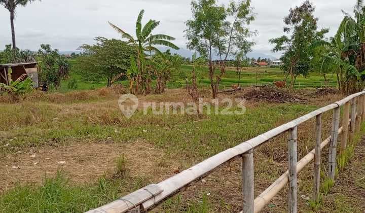 36 Are Freehold Land For Sale In Nyanyi - Lm238