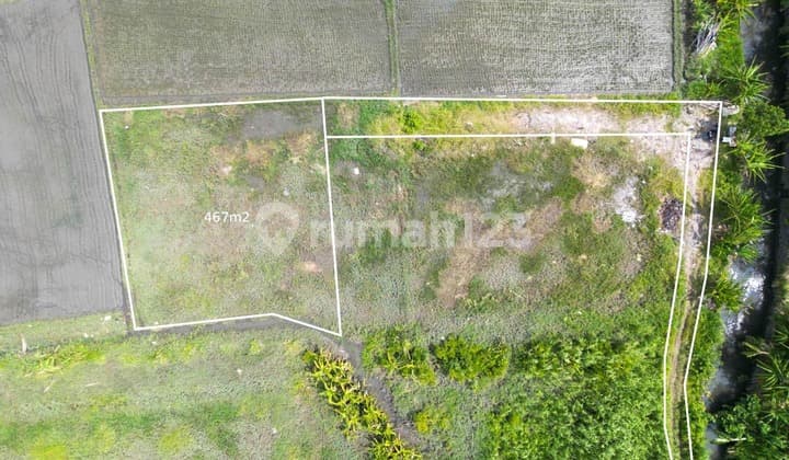 4.67 Are Land For Sale Leasehold With Rice Field View In Prime Seminyak - Pj012