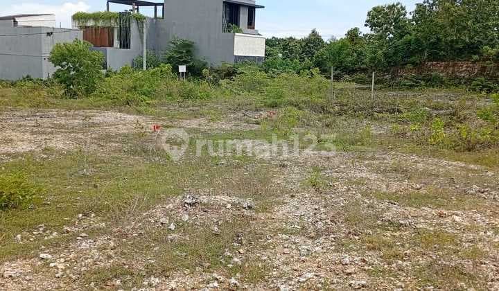 3.9 Are Land For Sale Freehold-In Ungasan - Ag001