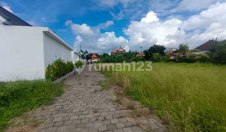 Tanah Leasehold 12 Are Dijual di Tangeb - Abianbase, Mengwi, Badung (View Sawah)