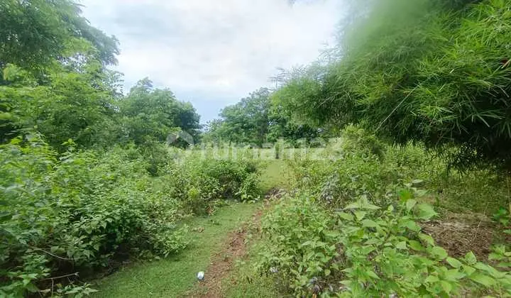 Dijual Tanah Freehold 20 Are - Jimbaran, Bali