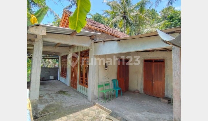 Tanah Luas Strategis & Asri di Pajangan, Bantul, Cocok untuk Hunian atau Investasi