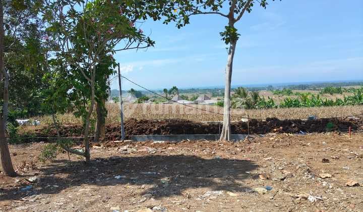 Dijual Tanah View Langka Sawah dan Lautdi Desa Tangguntiti - Tabanan, Bali