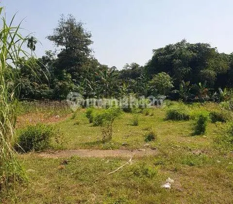 Tanah Bagus Strategis di Cileungsi Bogor