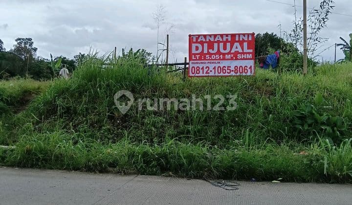 Jual Murah! Tanah Strategis Cocok untuk Bangun Perumahan