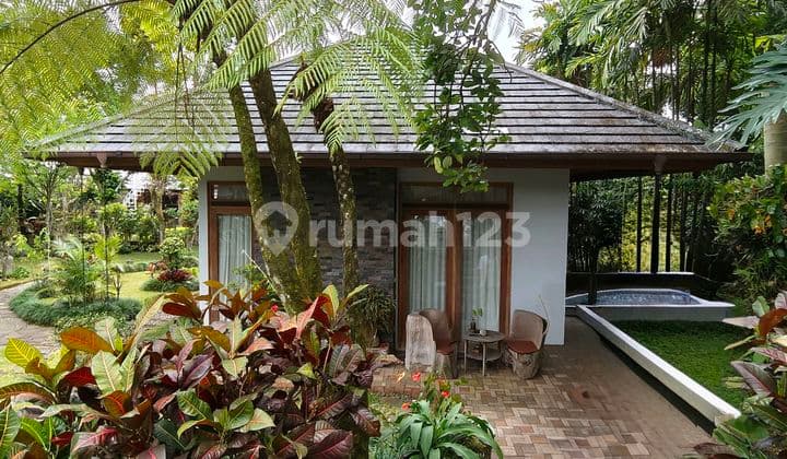 Classic House Like a Villa with Swimming Pool