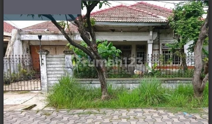10 Jt/Mtr Hitung Tanah‼️Rumah Lama Manyar Indah Row Jalan : 3 Mobil 10 Jt/Mtr Hitung Tanah‼️Rumah Lama Manyar Indah Row Jalan : 3 Mobil