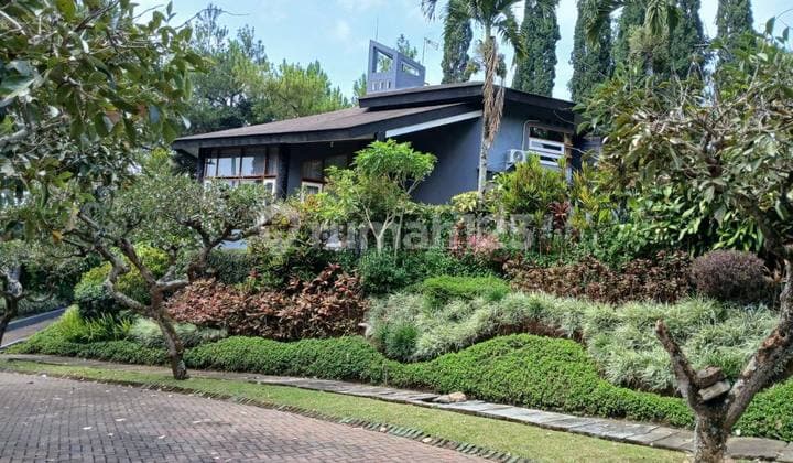 Villa Club Bunga Batu Plus Semua Perabotan Asli Kayu Mahoni