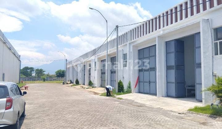 Gudang Baru Gress Sun City - Porong