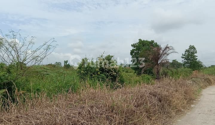 Tanah Komersial 6672M2 di Jl.beringin Ujung Air Hitam