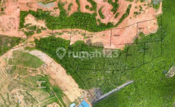 Lahan Komersial di Bintan 124.616M2 Surat SHM