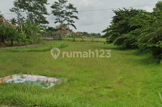 Dijual Tanah Pertanian Lokasi di Jalan Raya Bandongan - Magelang