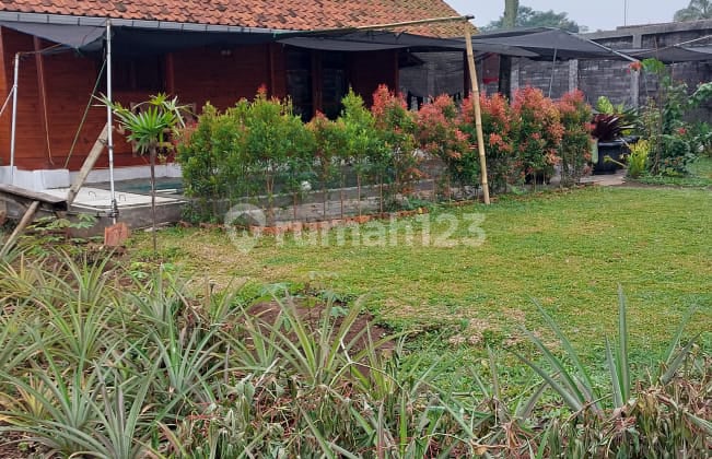*Dijual**Tanah Kebun Plus Villa &Kolam Renang Dihitung Tanah Saja*