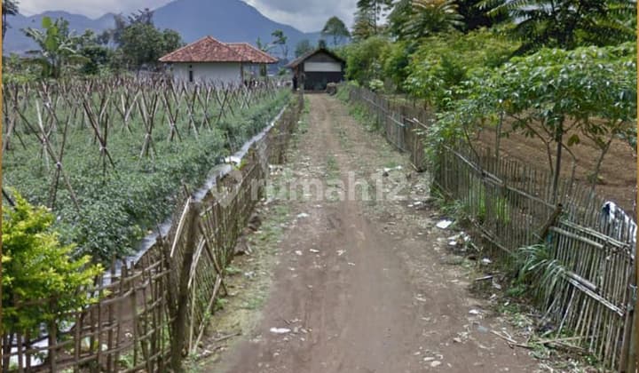 *Dijual Tanah Pasirjambu Ciwidey*_*(Dekat Rm Sindang Reret)*_