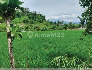 Dijual Tanah Area Garut Harga Dibawah Appraisal Bank
