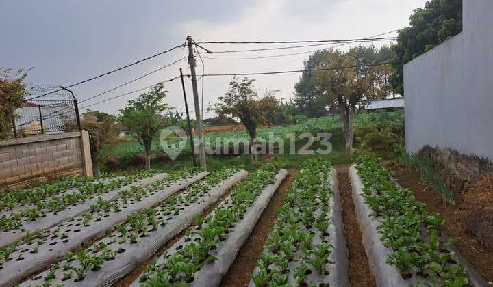 Kavling Setiabudi View Kota dan Gunung