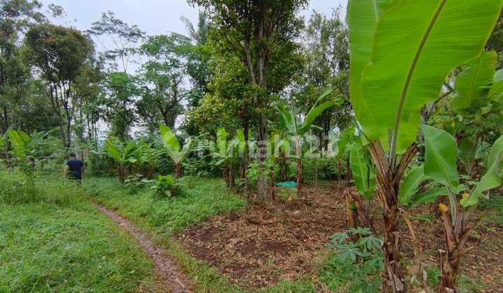 Jual : Tanah Jatinangor, Area Tanjungsari (Samping Perumahan)