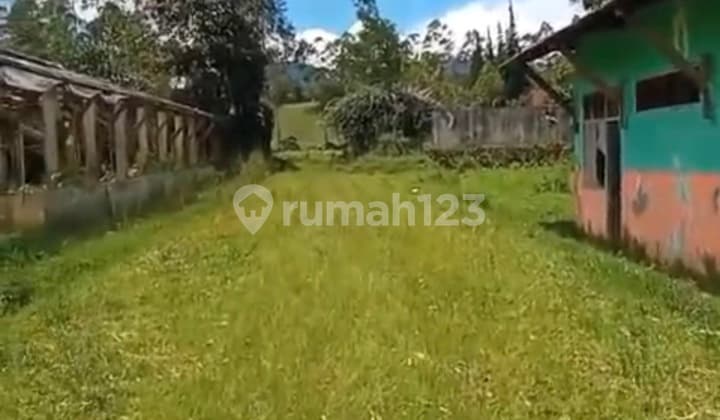 Disewakan Tanah Luas 2 Hektar Dipangalengan Ketinggian Sekitar 1400 Mdpl