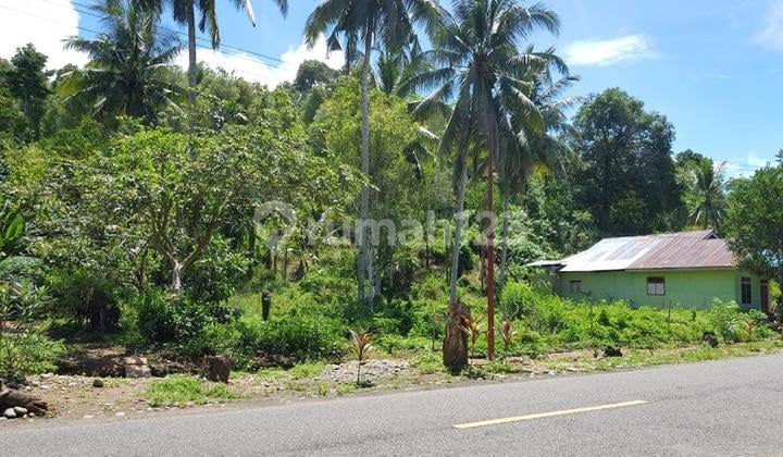 Lokasi Nol Jalan Propinsi Sulawesi Tanah Kavling Dekat Pantai