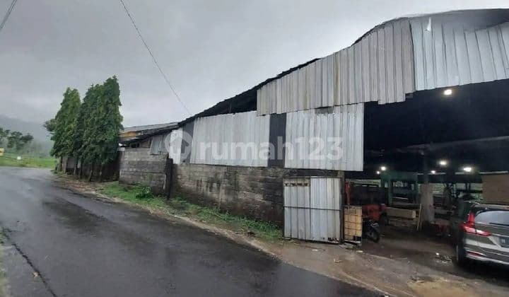 Lelang Gudang Eks Pengolahan Kayu di Limbangan Kendal
