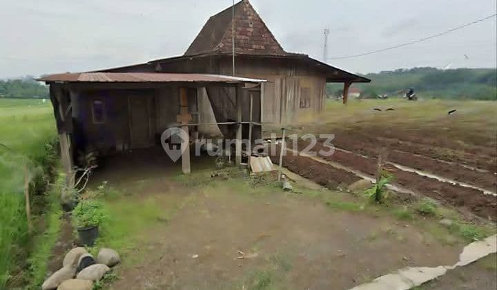 Lelang Kavling dan Rumah Joglo di Podorejo Ngaliyan