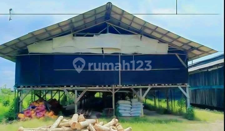 Lelang Kandang Ayam Pengandon Kendal Ruang-Usaha