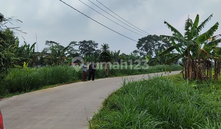 Dijual Cepat Tanah Darat ( Kebun )