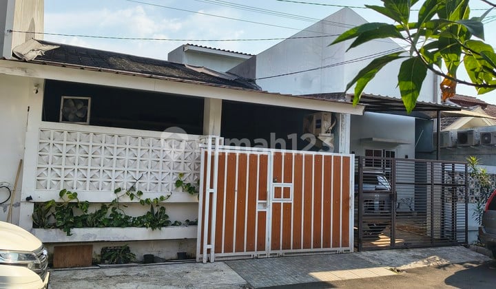 Rumah Lelang Kelapa Kopyor Gading Serpong Tangerang Bebas Banjir