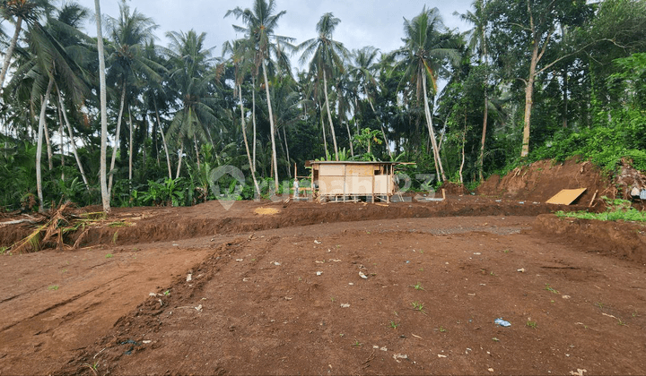 Segera Miliki Tanah Kavling Villa Premium River Side dengan View Sungai dan Sawah di Saba, Gianyar Dekat Sanur