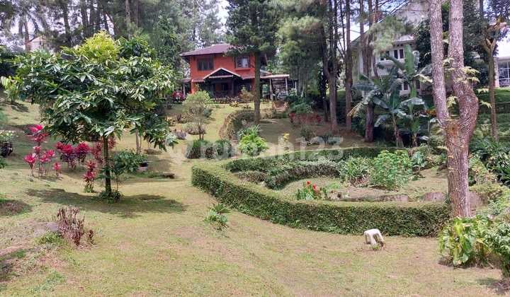 Villa Cilember, Megamendung, Cisarua, untuk Liburan dan Investasi Lokasi Asri Sejuk Tenang