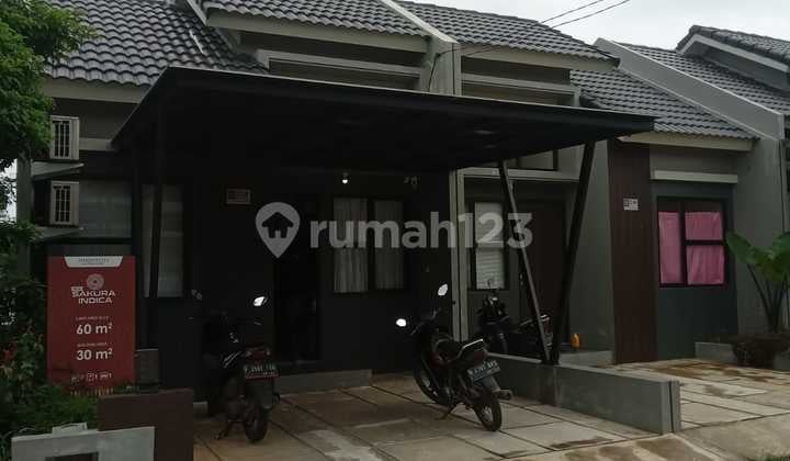 "New Sakura Indica: Your Zen Corner In Harvest City"