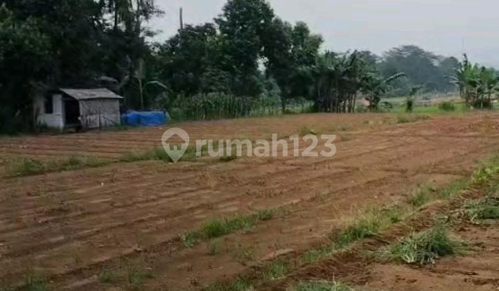 Dijual 5 Lahan Tanah di Cibungbulang, Bogor