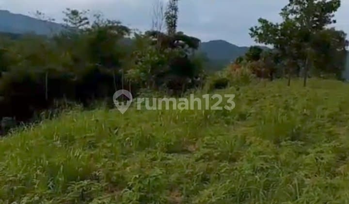 Dijual Bu Tanah di Sukajaya Bogor